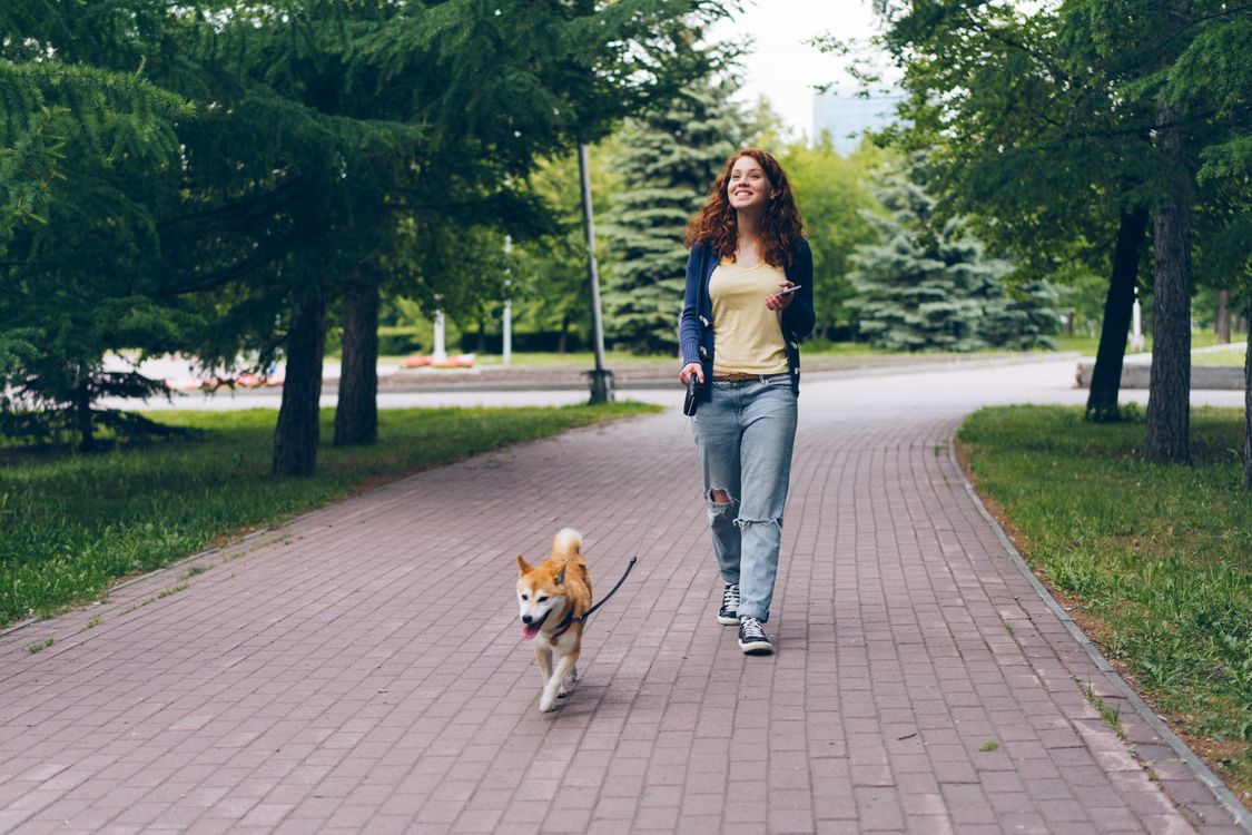A smiling woman walking her happy dog on a path through a green park