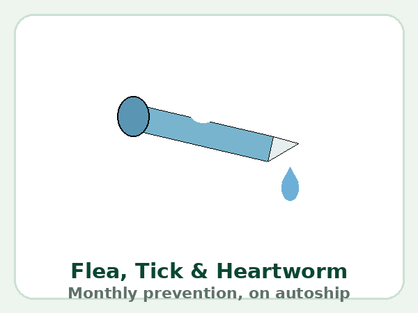 Flea, tick & heartworm prevention — product illustration